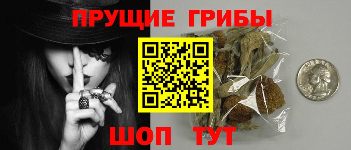 Киселёвск  Галлюциногенные грибы GOLDEN TEACHER  Галлюциногенные грибы Psilocybe  Вход с VPN 